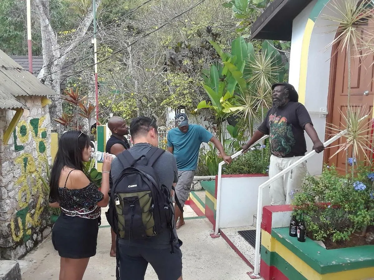 Bed & Breakfast Joy'S Eco Lodge And Wellness Center Dressikie